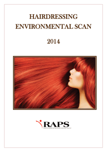 hairdressing environmental scan 2014