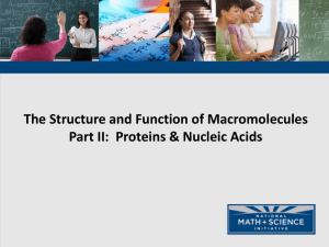 The Structure and Function of Macromolecules Part II: Proteins