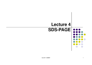 Lecture 4 SDS-PAGE