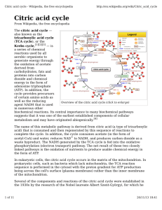 Citric acid cycle - Imperial College London