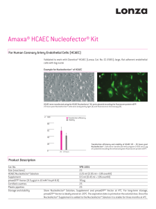 (HCAEC) (Nucleofector Kits)