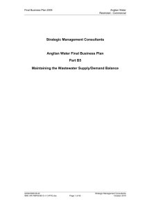 Strategic Management Consultants
