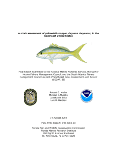 A stock assessment of yellowtail snapper, Ocyurus chrysurus, in the