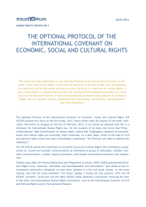 the optional protocol of the international covenant on economic
