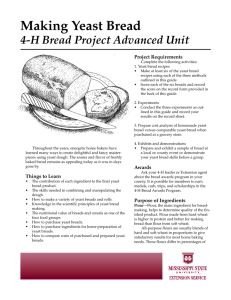 Making Yeast Bread - Mississippi State University Extension Service