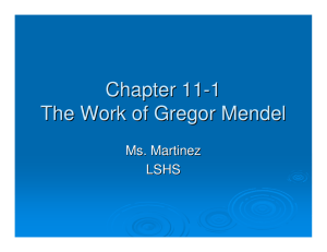 Chapter 11-1 The Work of Gregor Mendel