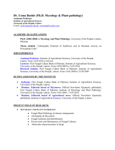 CV of Dr. Uzma Bashir - University of the Punjab