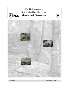 Common Mosses and Liverworts of New England Woodlots