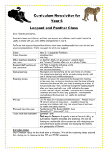 Curriculum Newsletter for Year 6 Leopard and Panther Class