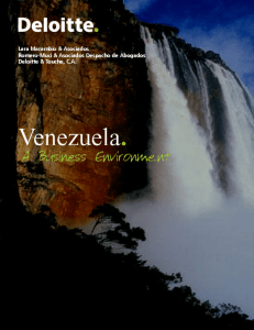 Venezuela _ A Business Environment.doc 20 de julio 2004