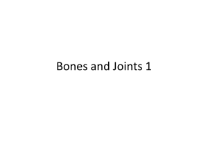 Bones and Joints 1