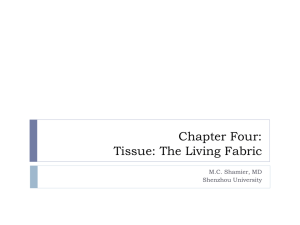 Chapter Four: Tissue: The Living Fabric