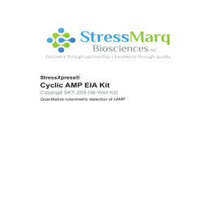 Cyclic AMP EIA Kit - Stressmarq Biosciences