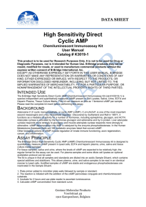High Sensitivity Direct Cyclic AMP