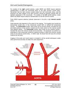 Arch and Carotid Arteriograms