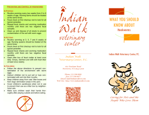 Hookworms in Dogs and Cats - Indian Walk Veterinary Center
