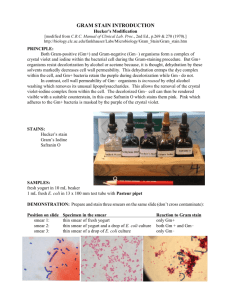 GRAM STAIN INTRODUCTION