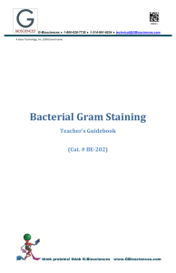 Bacterial Gram Staining Teacher's Guidebook (Cat - G