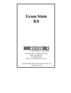 Gram Stain Kit - Home Science Tools