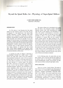 • Beyond the Spinal Reflex Arc · Physiology of Supra·Spinal Reflexes