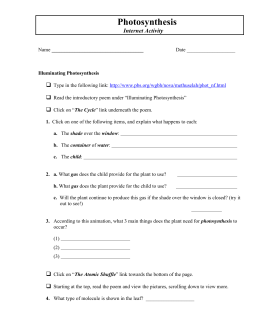 27 Atp Formation Worksheet 8 Answers - Notutahituq Worksheet Information