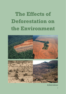 The Effects of Deforestation on the Environment