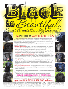 The Problem with blACK DoGS