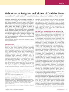 Melanocytes as Instigators and Victims of Oxidative Stress