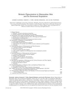 Melanin Pigmentation in Mammalian Skin and Its Hormonal