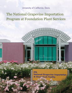 Grape Importation Brochure - Foundation Plant Services