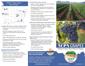 NCPN Grapes Clean Plant Centers National Clean Plant Network