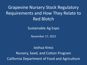Grapevine Nursery Stock Regulatory