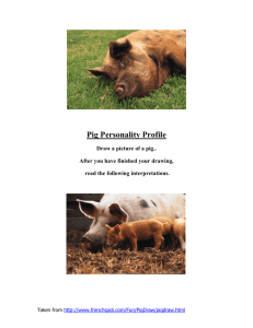 Pig Personality Profile - NSCC Disability Services