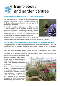 Bumblebees and garden centres - Bumblebee Conservation Trust