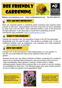 Bee Friendly Gardening - Durham Wildlife Trust