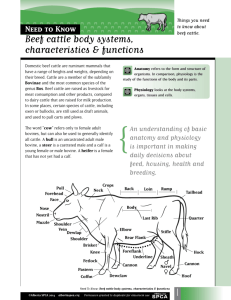 Beef cattle body systems, characteristics & functions