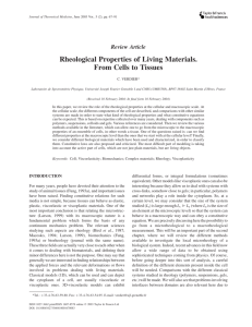 Rheological Properties of Living Materials. From Cells to Tissues