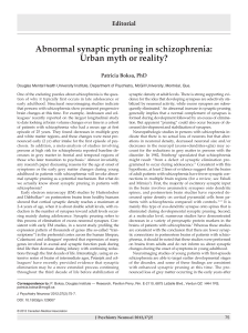 Abnormal synaptic pruning in schizophrenia