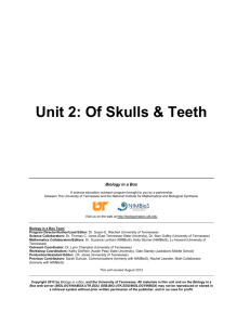 Unit 2: Of Skulls & Teeth - University of Tennessee