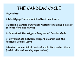Cardiac Cycle Lecture 2007