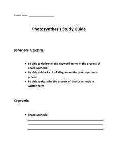 Photosynthesis Study Guide