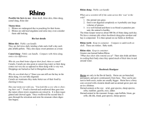 Possible bio facts to use: rhino skull, rhino skin, rhino dung, camel