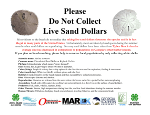 Please Do Not Collect Live Sand Dollars