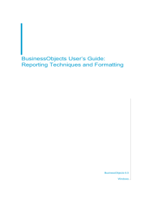 BusinessObjects User's Guide: Reporting Techniques and Formatting