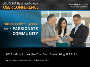 Make It Look Like Your Own: Customizing SAP BI 4.1