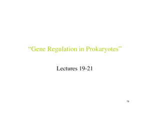 “Gene Regulation in Prokaryotes”