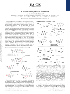 A Concise Total Synthesis of Saliniketal B