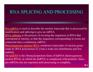 RNA SPLICING AND PROCESSING