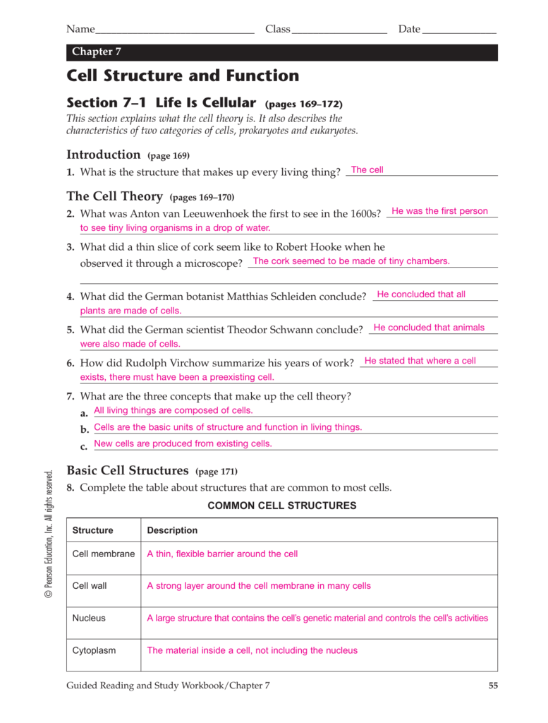 Worksheets Cell Structure And Function Worksheet Atidentity Free