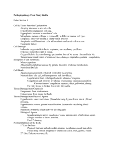 Pathophysiology Final Study Guide